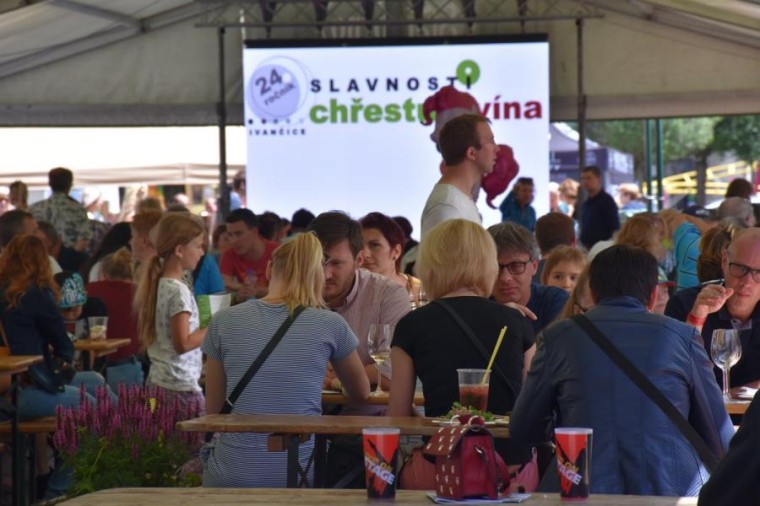 Slavnosti chřestu a vína 2018