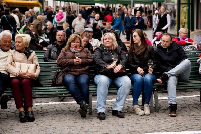 Slavnosti chřestu 2017, foto J. Sláma (foto 16)