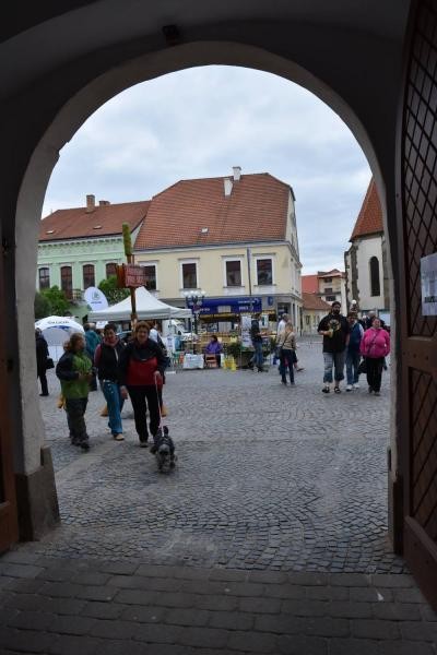 Slavnosti chřestu 2017 (foto 7)