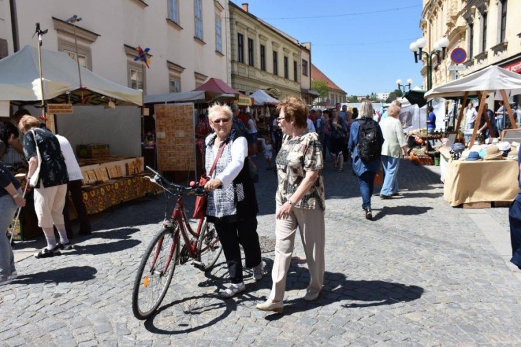 Slavnosti chřestu 2017 (foto 12)