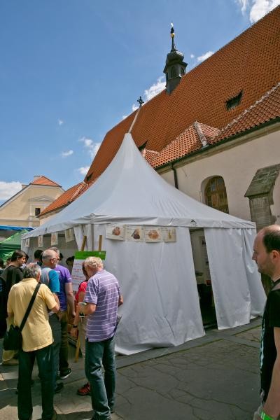 Slavnosti chřestu 2016, foto J. Sláma (foto 57)