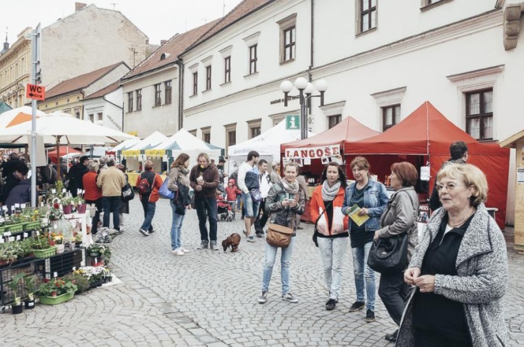 Slavnosti chřestu 2015 (foto 36)