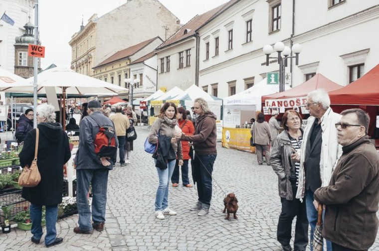 Slavnosti chřestu 2015 (foto 37)