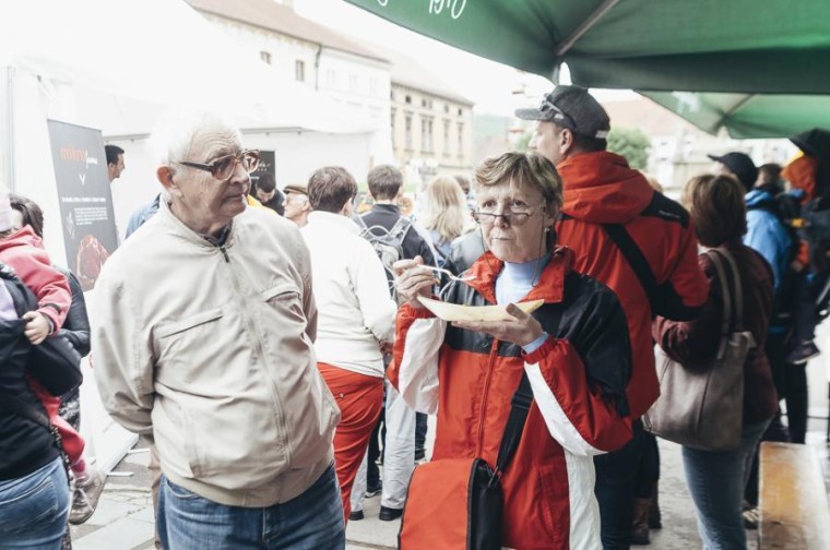 Slavnosti chřestu 2015 (foto 71)