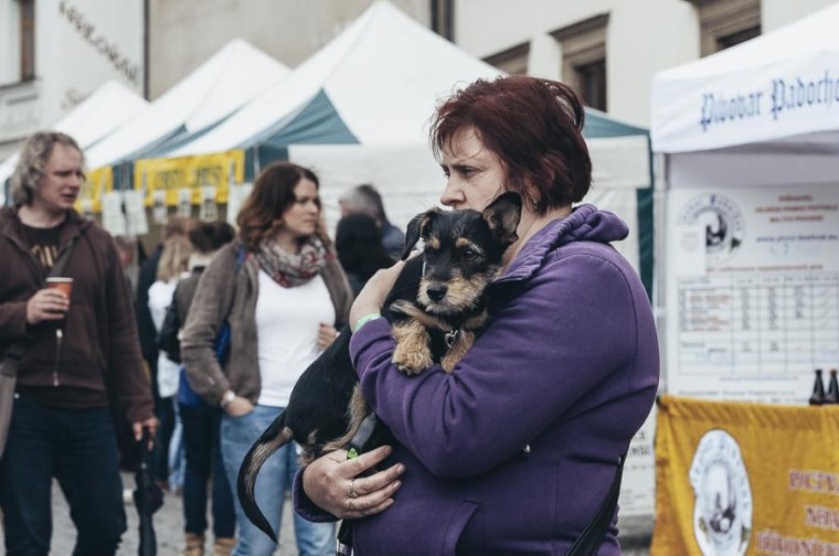 Slavnosti chřestu 2015 (foto 98)