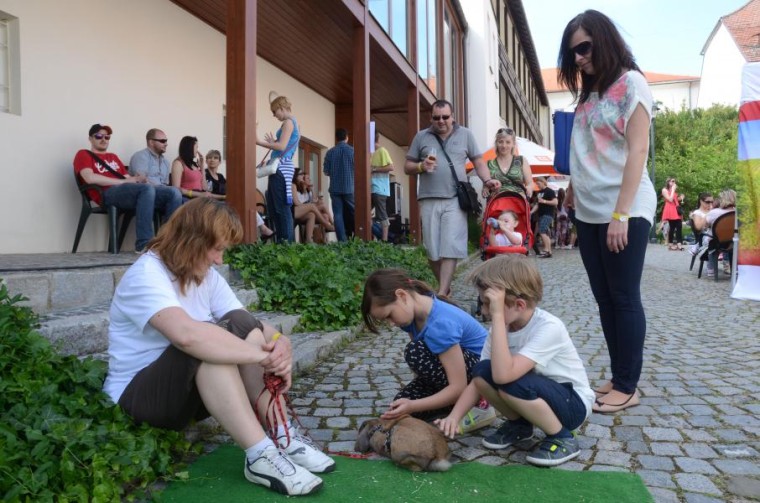 Slavnosti chřestu 2014, foto Leoš Horký (foto 96)