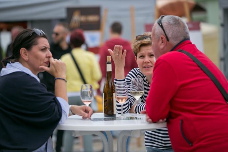 Slavnosti chřestu a vína 2021, foto J. Sláma (foto 11)