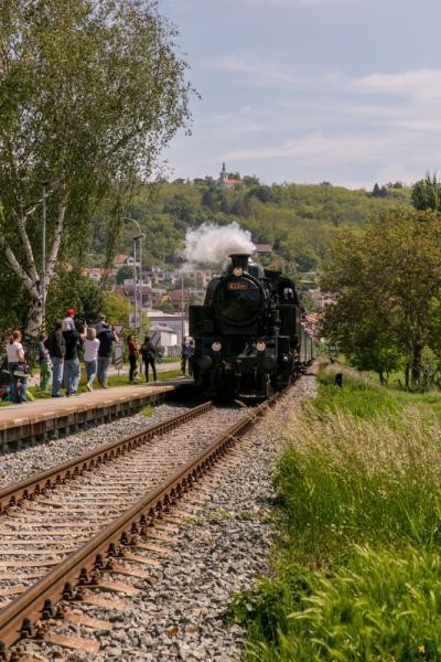 Slavnosti chřestu a vína 2019, foto J. Sláma (foto 1)