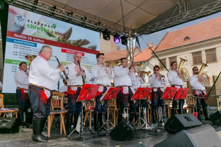 Slavnosti chřestu a vína 2019, foto J. Sláma (foto 4)