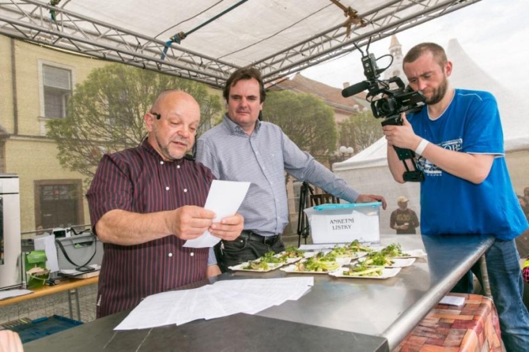 Slavnosti chřestu a vína 2019, foto J. Sláma (foto 24)