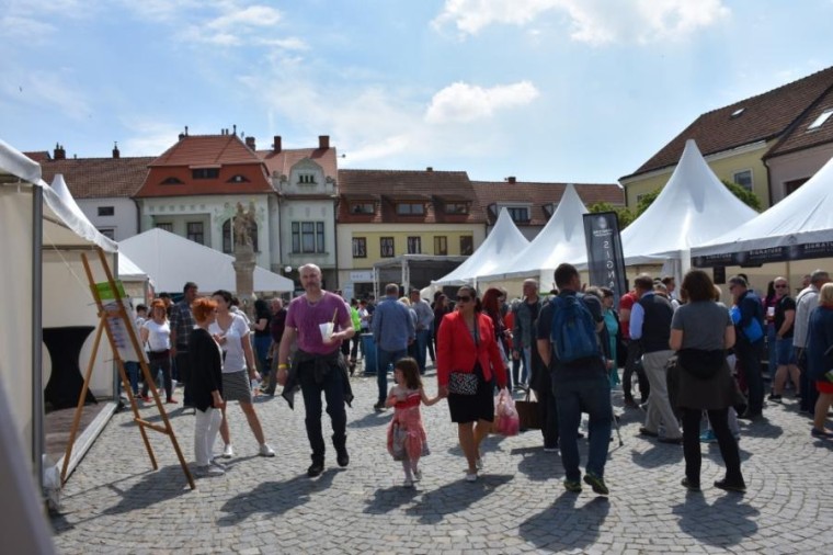 Slavnosti chřestu a vína 2019 (foto 11)