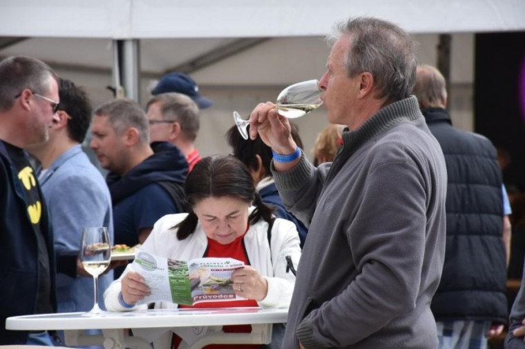 Slavnosti chřestu a vína 2019 (foto 11)