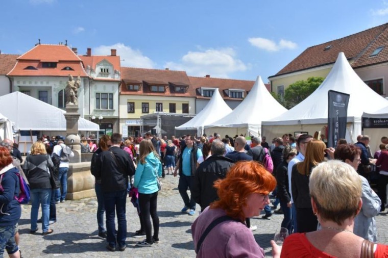 Slavnosti chřestu a vína 2019 (foto 27)