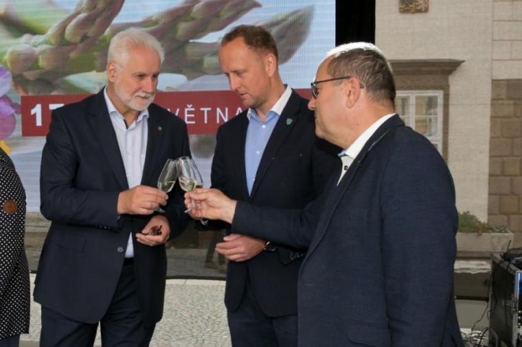 Slavnosti chřestu a vína 2019, foto J. Sláma (foto 3)