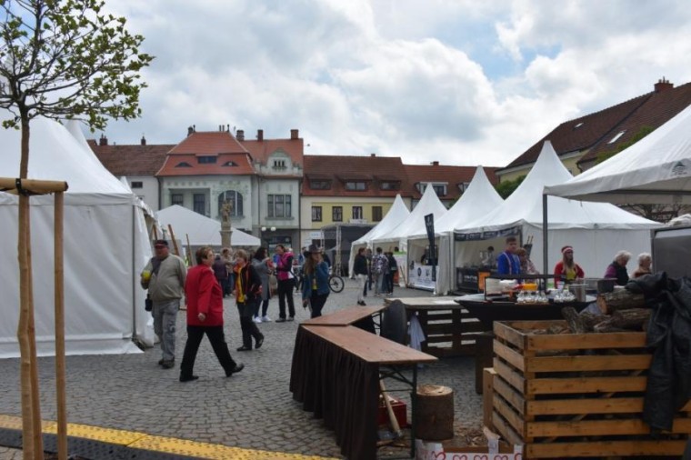 Slavnosti chřestu a vína 2019 (foto 13)