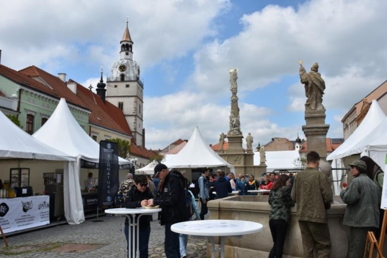 Slavnosti chřestu a vína 2019 (foto 14)