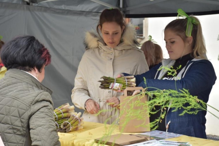 Slavnosti chřestu a vína 2019 (foto 22)