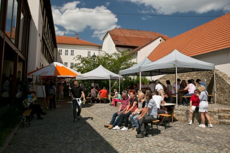 Slavnosti chřestu 2018, foto J. Sláma (foto 21)