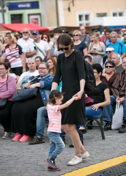 Slavnosti chřestu a vína 2018, foto J. Sláma (foto 15)