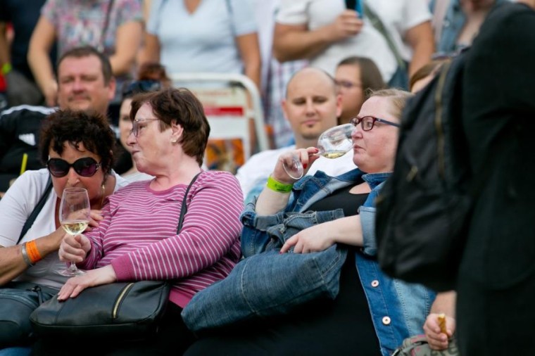 Slavnosti chřestu a vína 2018, foto J. Sláma (foto 16)