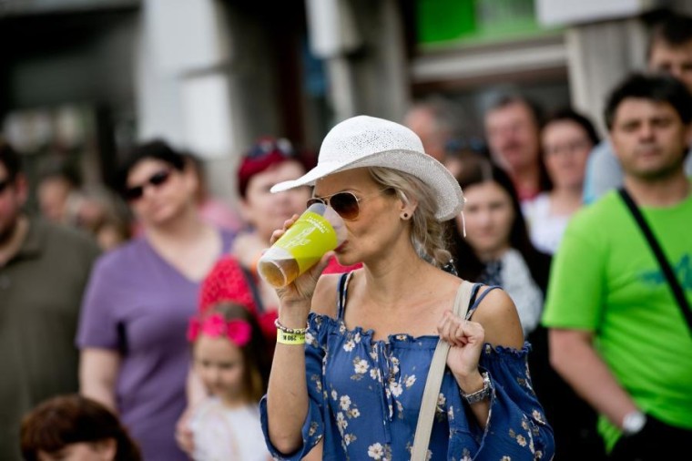 Slavnosti chřestu a vína 2018, foto J. Sláma (foto 17)