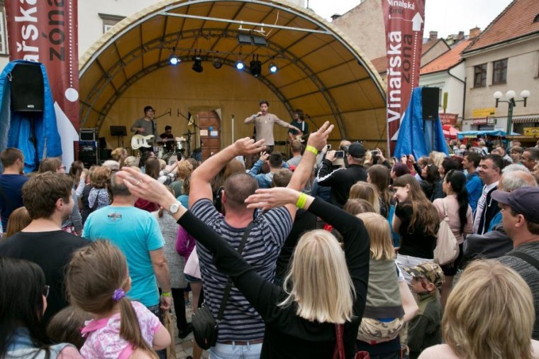 Slavnosti chřestu a vína 2018, foto J. Sláma (foto 29)