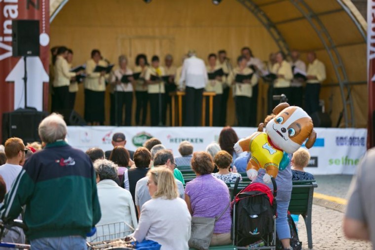 Slavnosti chřestu a vína 2018, foto J. Sláma (foto 20)