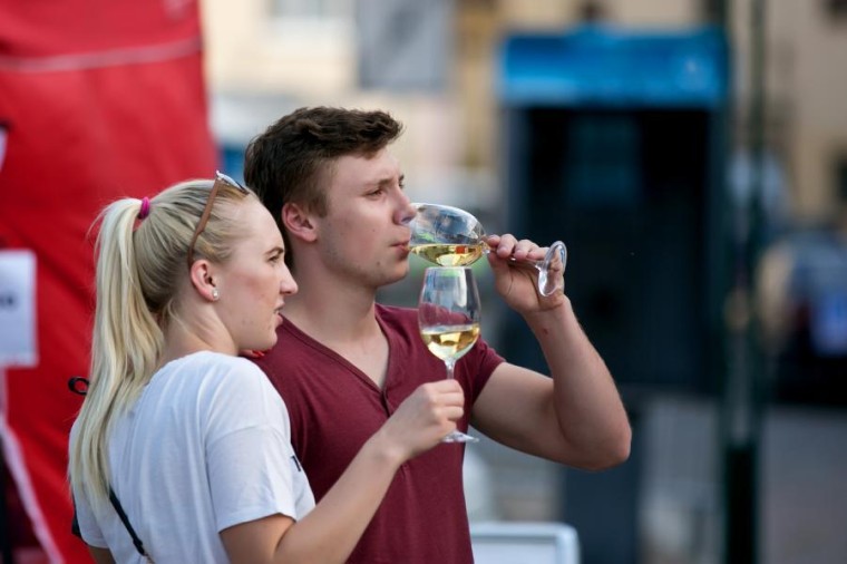 Slavnosti chřestu a vína 2018, foto J. Sláma (foto 21)