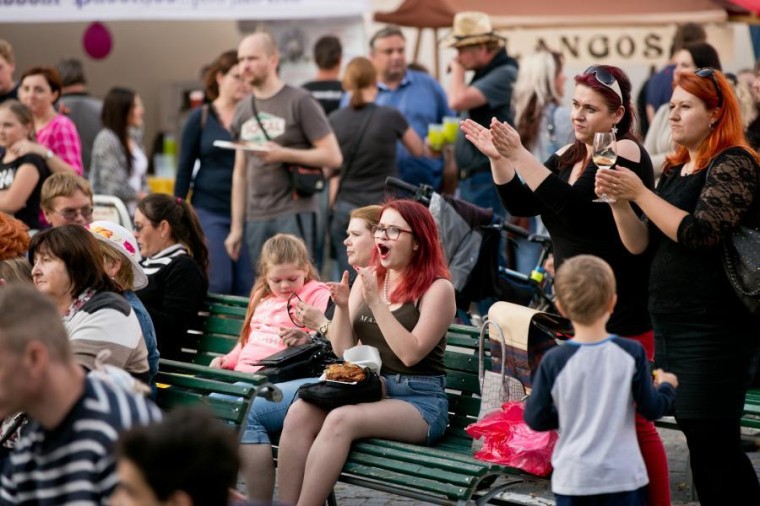 Slavnosti chřestu a vína 2018, foto J. Sláma (foto 31)