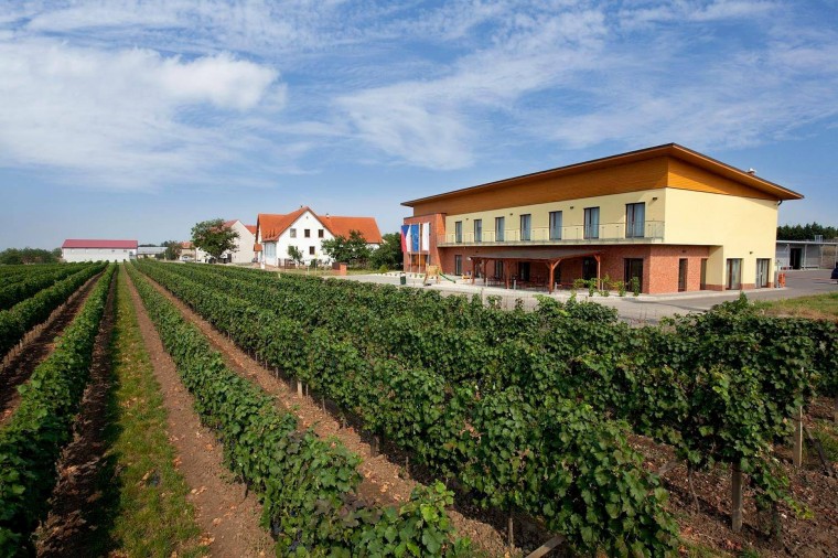 Restaurace & Rodinné vinařství Skoupil (Velké Bílovice) Restaurace & Rodinné vinařství Skoupil (Velké Bílovice)